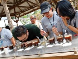 FIFGROUP Ajak Mengenal Desa Sejahtera Astra Penghasil Kopi