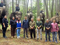 Pertamina Patra Niaga Dukung Konservasi Gajah Sumatera di Hari Gajah Sedunia 2025