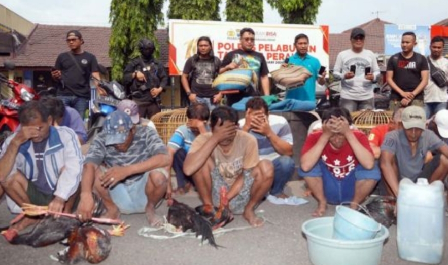Para penjudi Adu Ayam saat di giring di Mapolres Pelabuhan Tanjung Perak (istimewa)