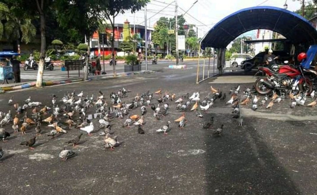 Aloon-aloon Kota Madiun yang biasa Ramai PKL tampak sepi akibat virus Corona