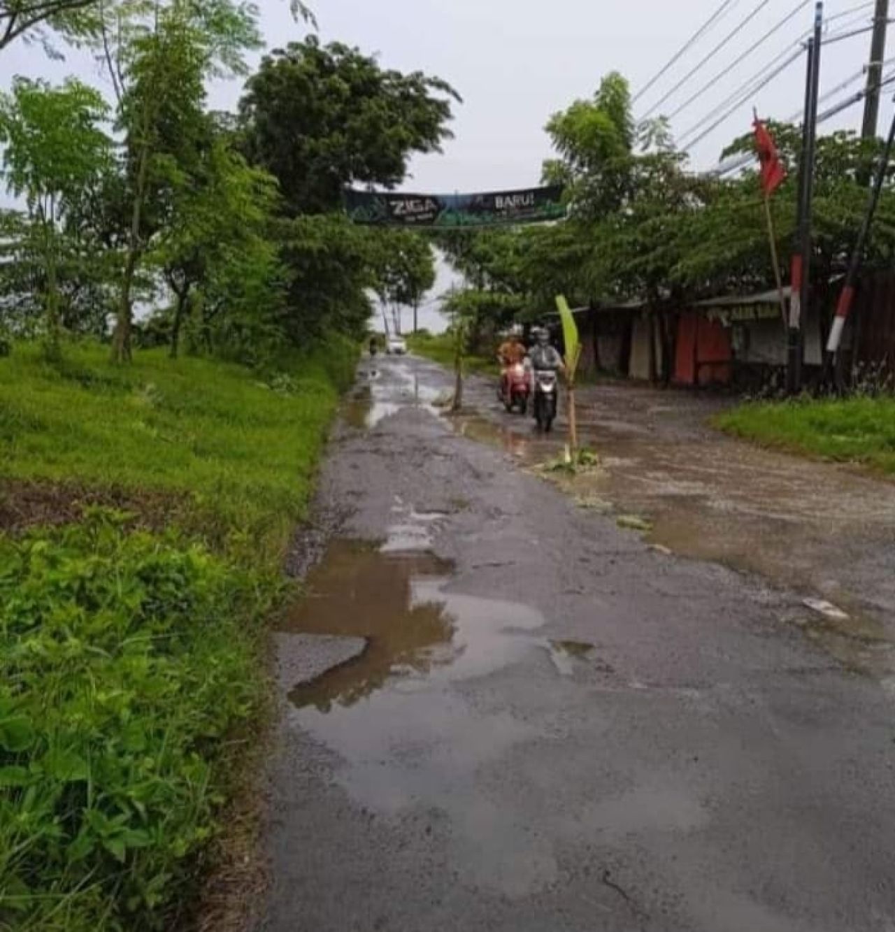 Ruas Jalan Pucuk - Sekaran Rusak Parah "Butuh Perhatian Pemkab Lamongan