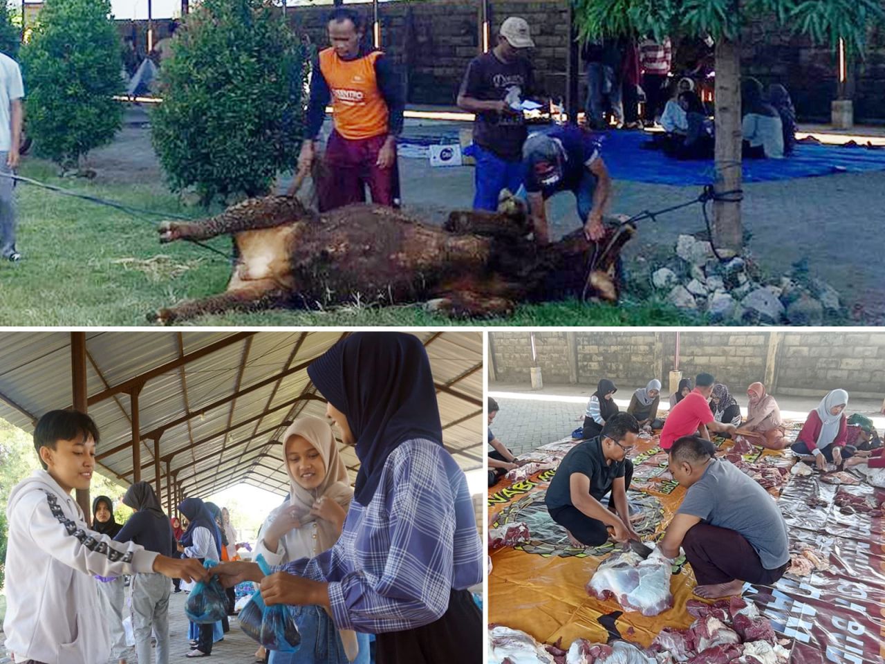 Idul Adha SMAN 1 Babadan Tebar Ratusan Daging Ke Masyarakat