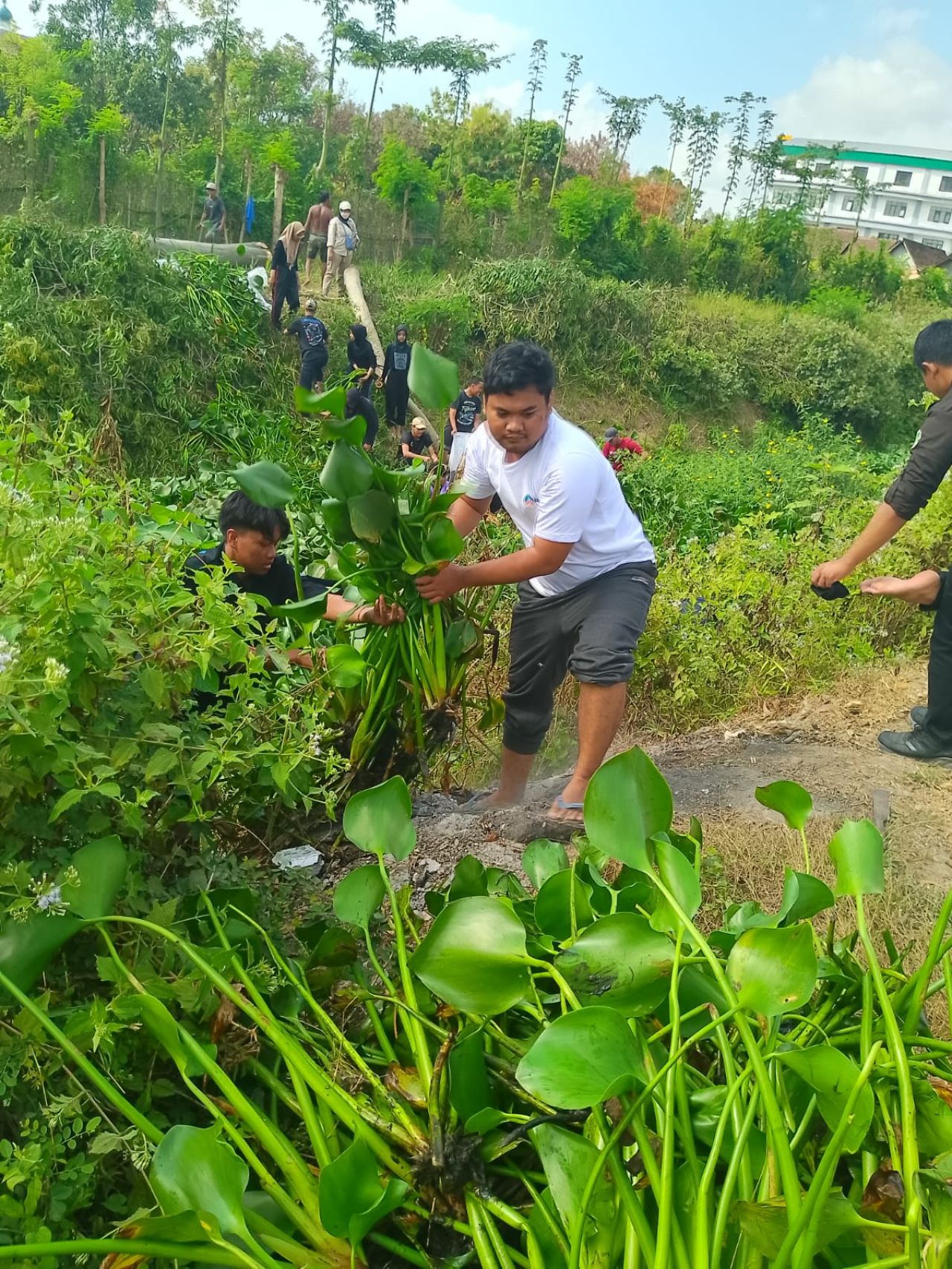 KISMAPALA Universitas Bhinneka PGRI Tulungagung mengadakan kegiatan bersih sungai