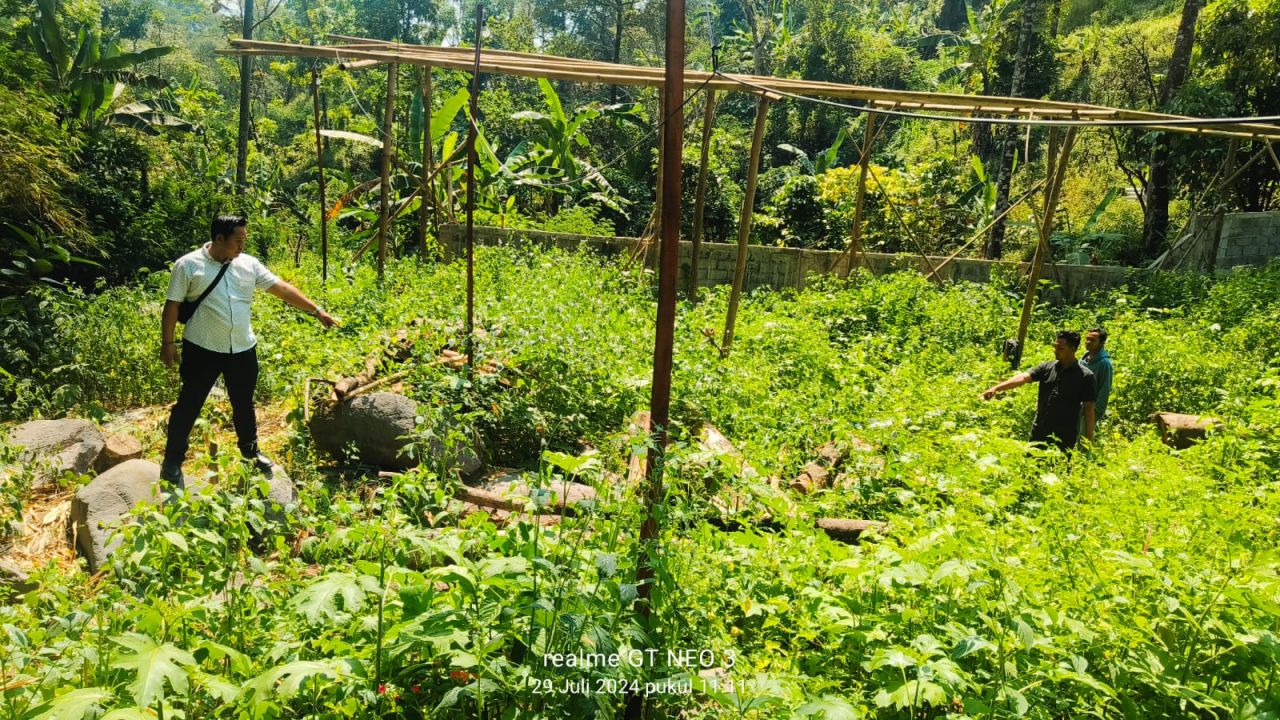 Petugas Polsek Prigen ke lokasi penebangan pohon yang diduga dilakukan owner Resto Nusantara