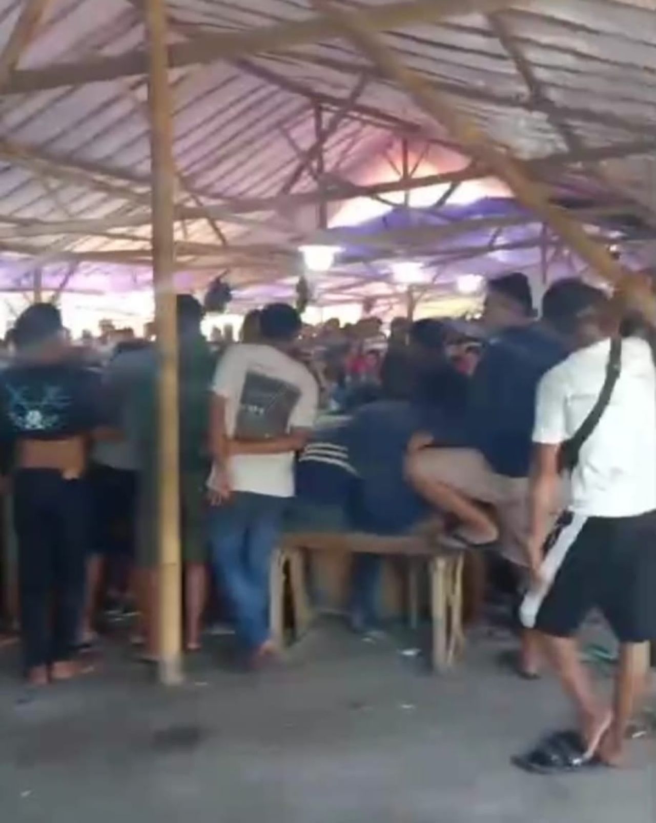 arena praktik judi sambung ayam di Porong terkesan aman dan lancar