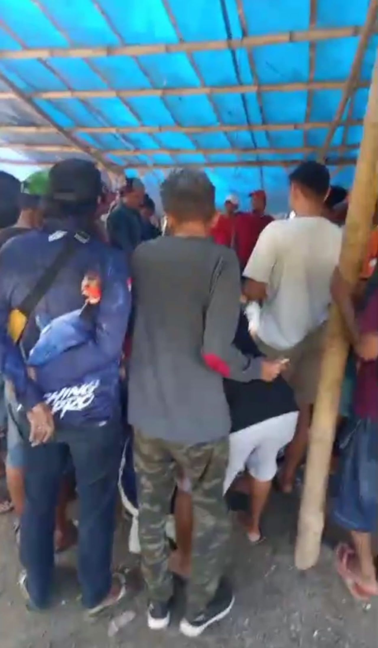 Suasan arena judi sabung ayam di Desa Mindi, Porong, Sidoarjo terkesan aman dan lancar