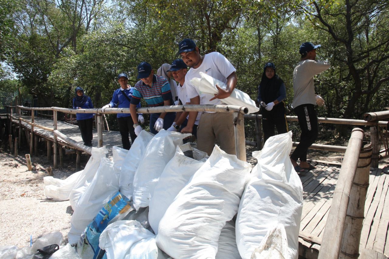 Tumpukan sampah hasil clean up