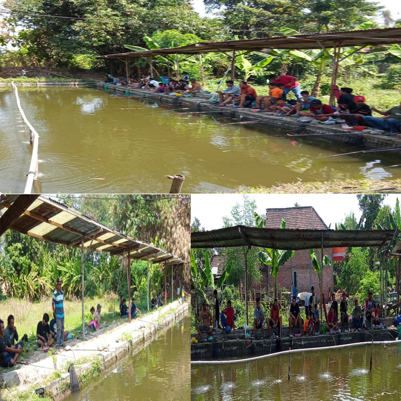 Warga Dusun Gerih Gelar Mancing Bersama Memperingati HUT RI-Ke 79