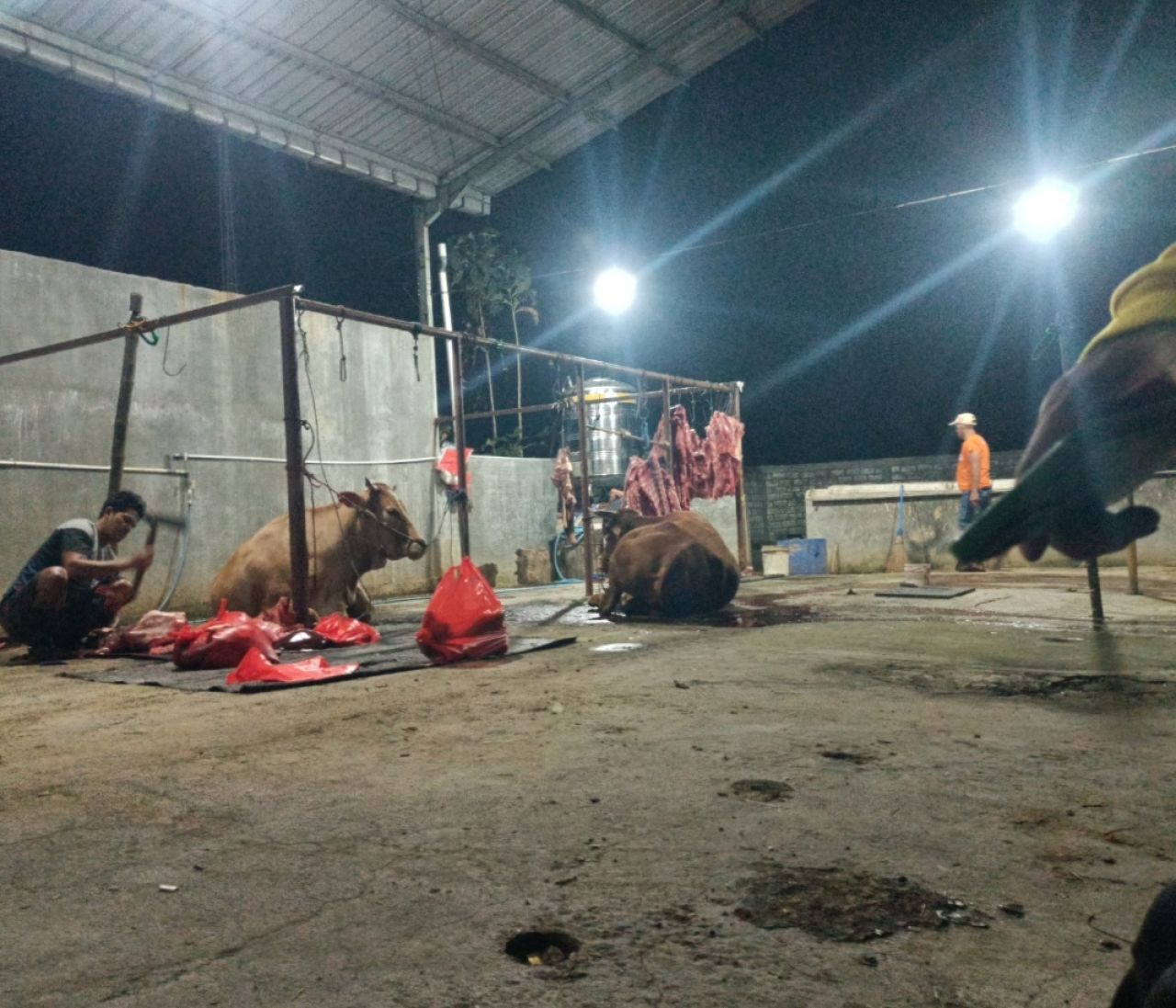 RPH di Desa Tanjung