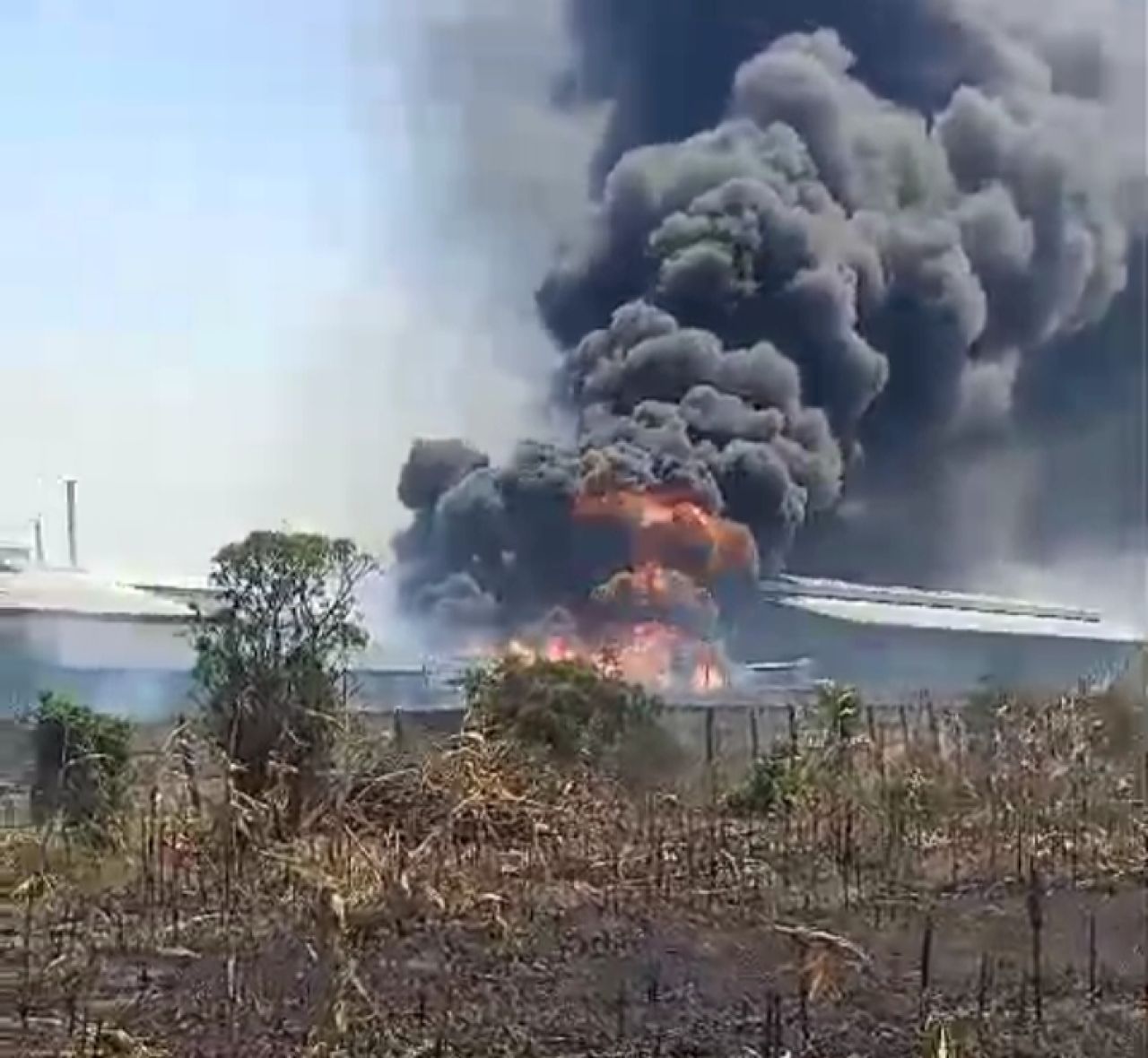 Api membakar gudang PT Langgeng Jaya Plastindo