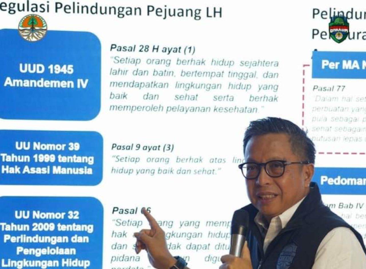 Rasio Ridho Sani, Dirjen Penegakan Hukum KLHK