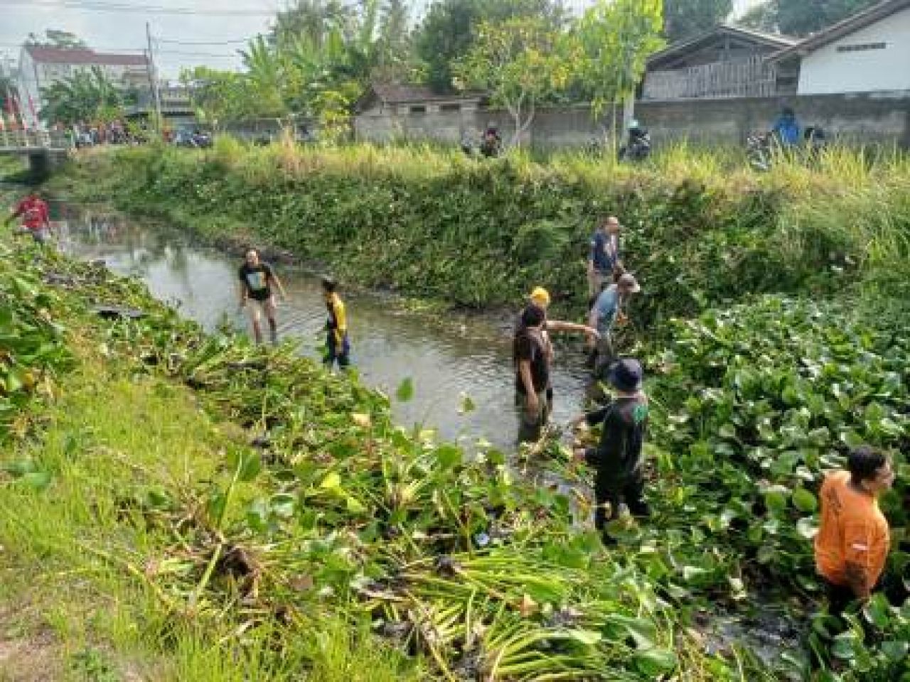 Bersih-bersih Sungai Plosokandang