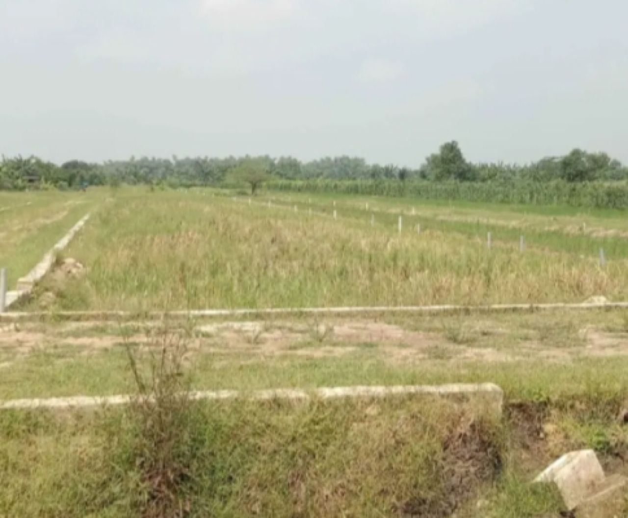 Salah satu tanah kavling CV BAP