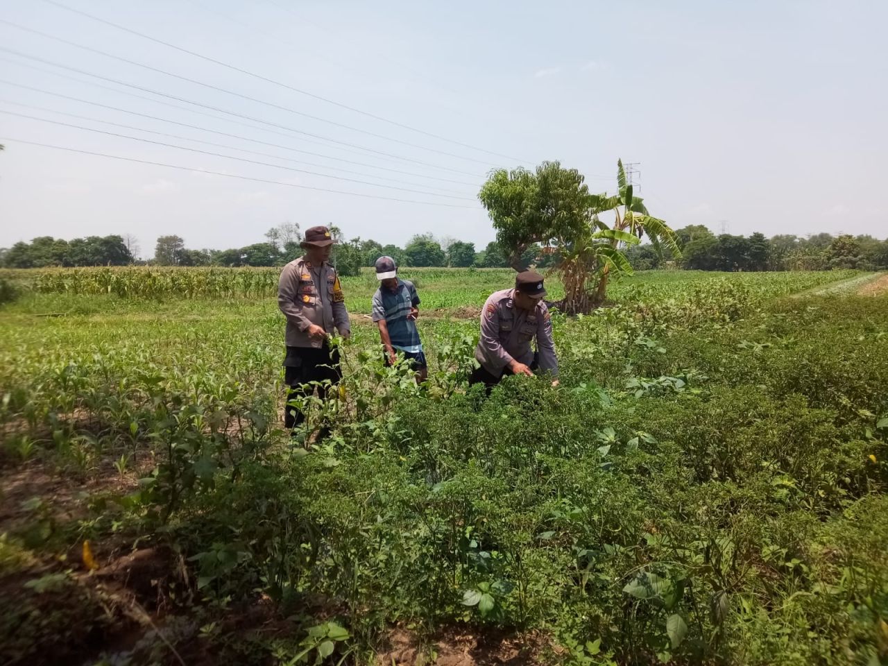 Polsek Pohjentrek bersama para petani penan raya