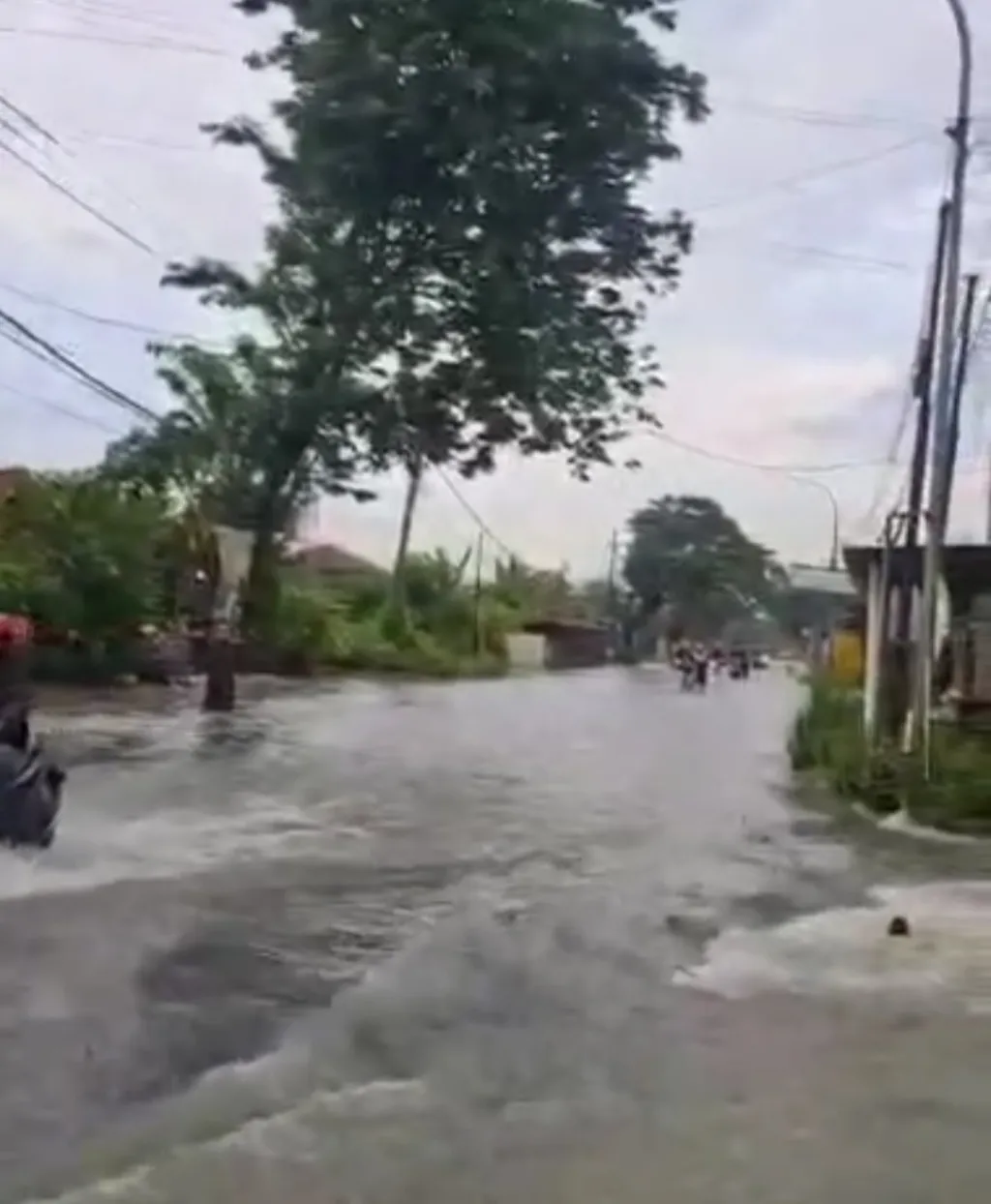 Banjir Kali Lamong Terus Berulang, Efianto: Harus Ada Solusi Permanen