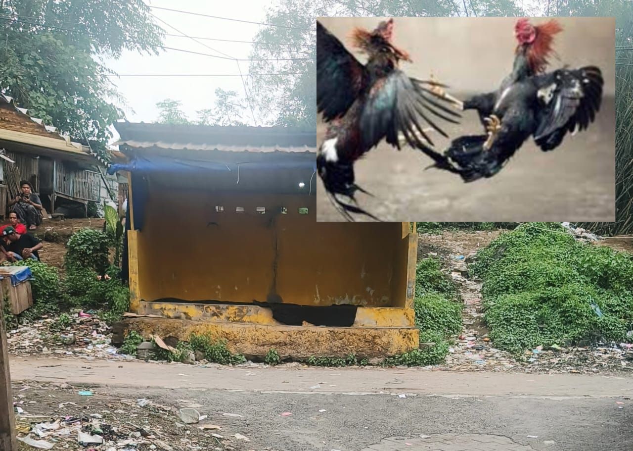 Lokasi kalangan sabung ayam di kali tangkis-Gempol yang dikeluhkan warga