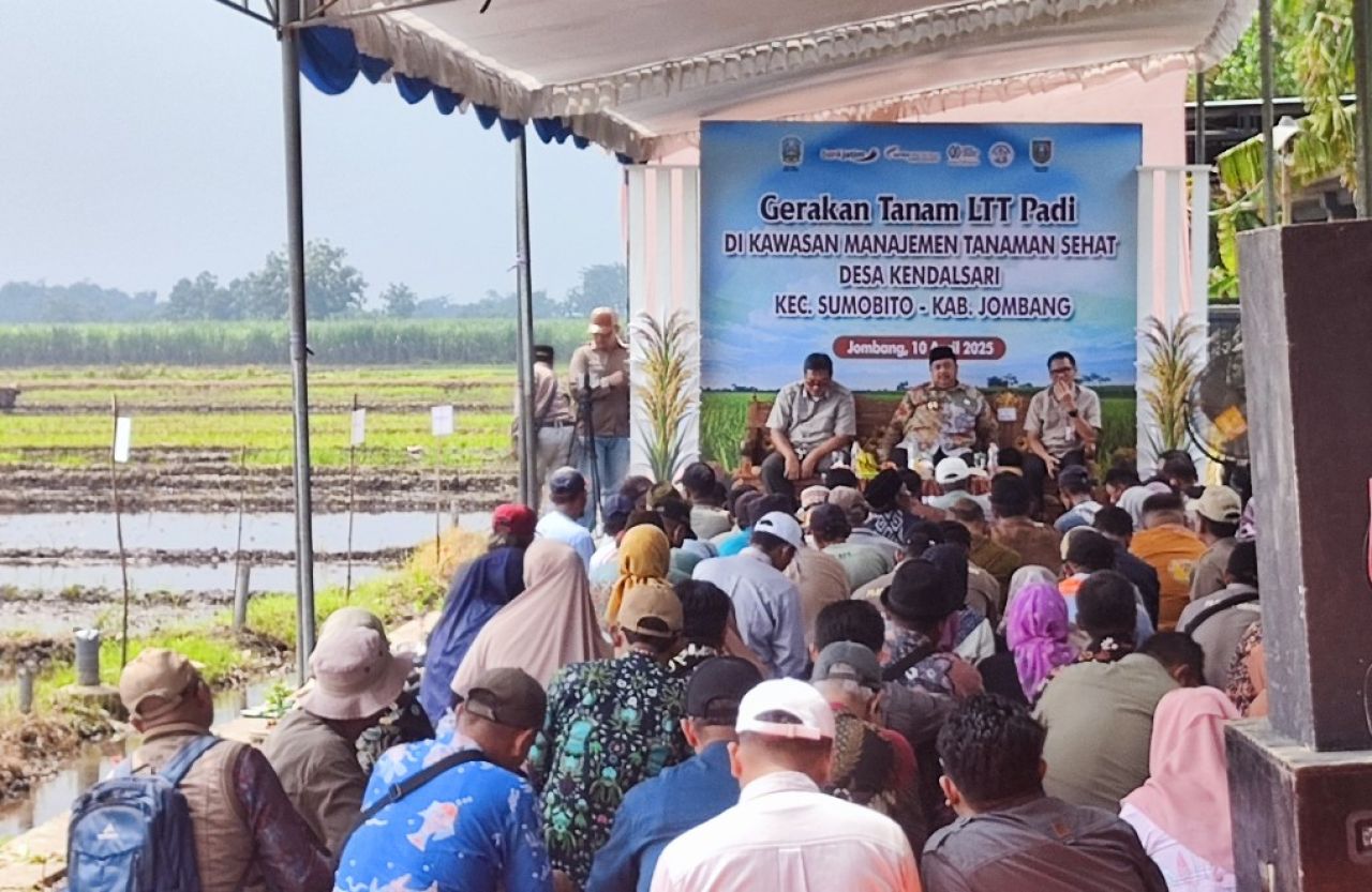 Bupati Jombang Pimpin Langsung Gerakan Tanam Program LTT-MTS di Sumobito