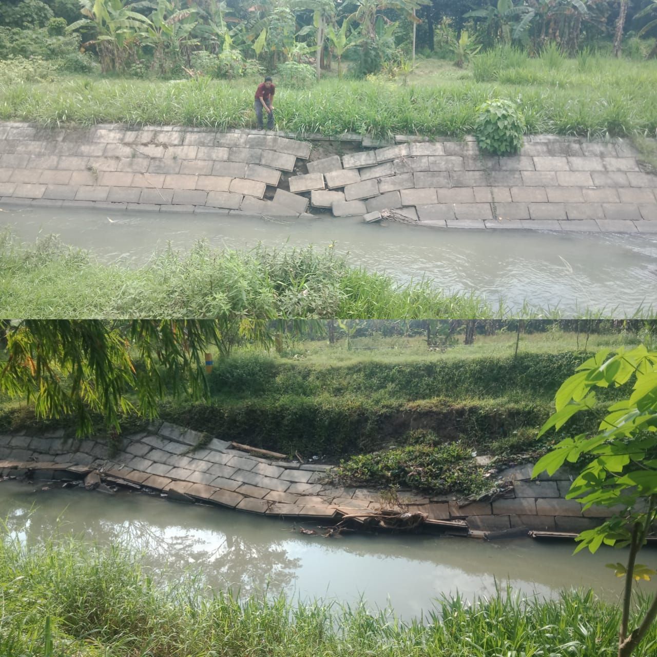 LSM LP3 Sapujagad Soroti Ambrolnya Proyek BBWS Pemasangan Precast Lining Plengsengan di Jombang