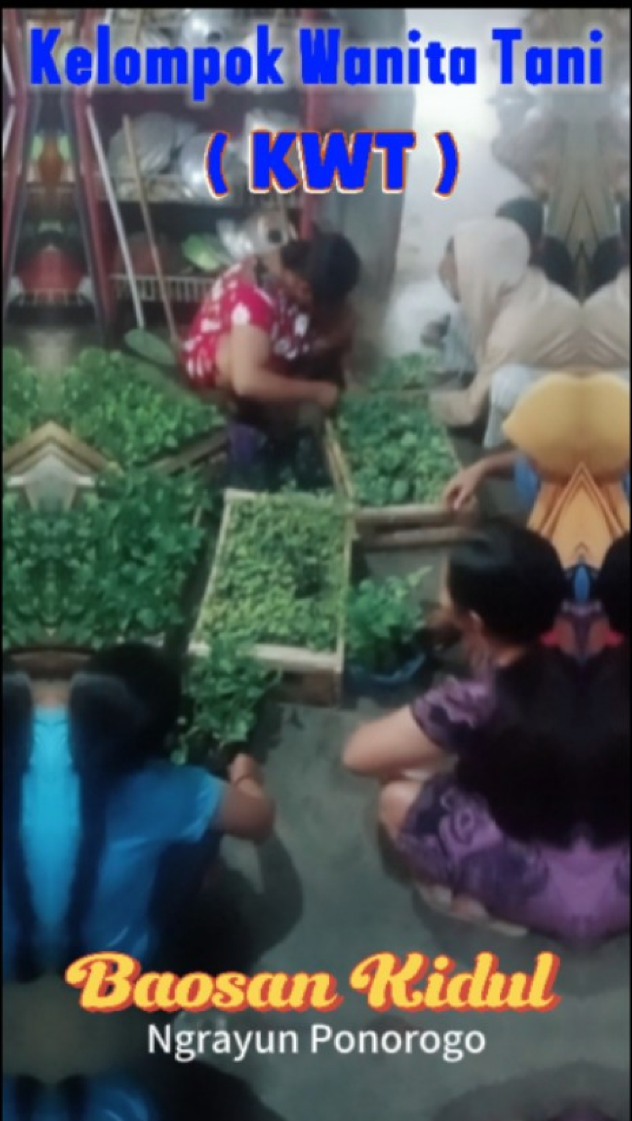 Jelompok Wanita Tani Desa Baosan kidul