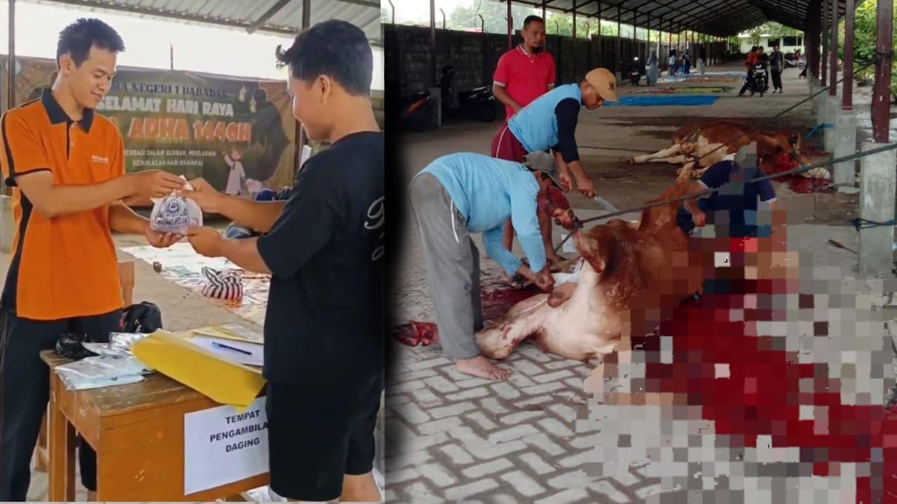 Idul Adha 1446 H SMAN 1 Babadan Sembelih Hewan Kurban, Daging Dibagikan Untuk Warga