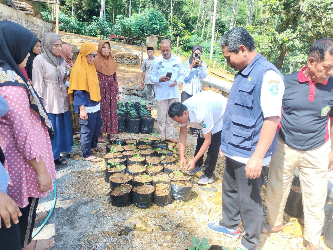 Pemeriksaan tanaman di polibag bantuan BPP Kec. Ngrayun