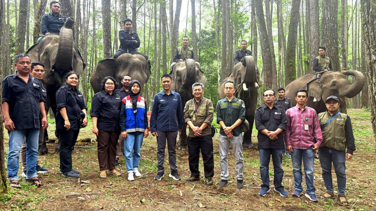 Pertamina Patra Niaga Dukung Konservasi Gajah Sumatera di Hari Gajah Sedunia 2025