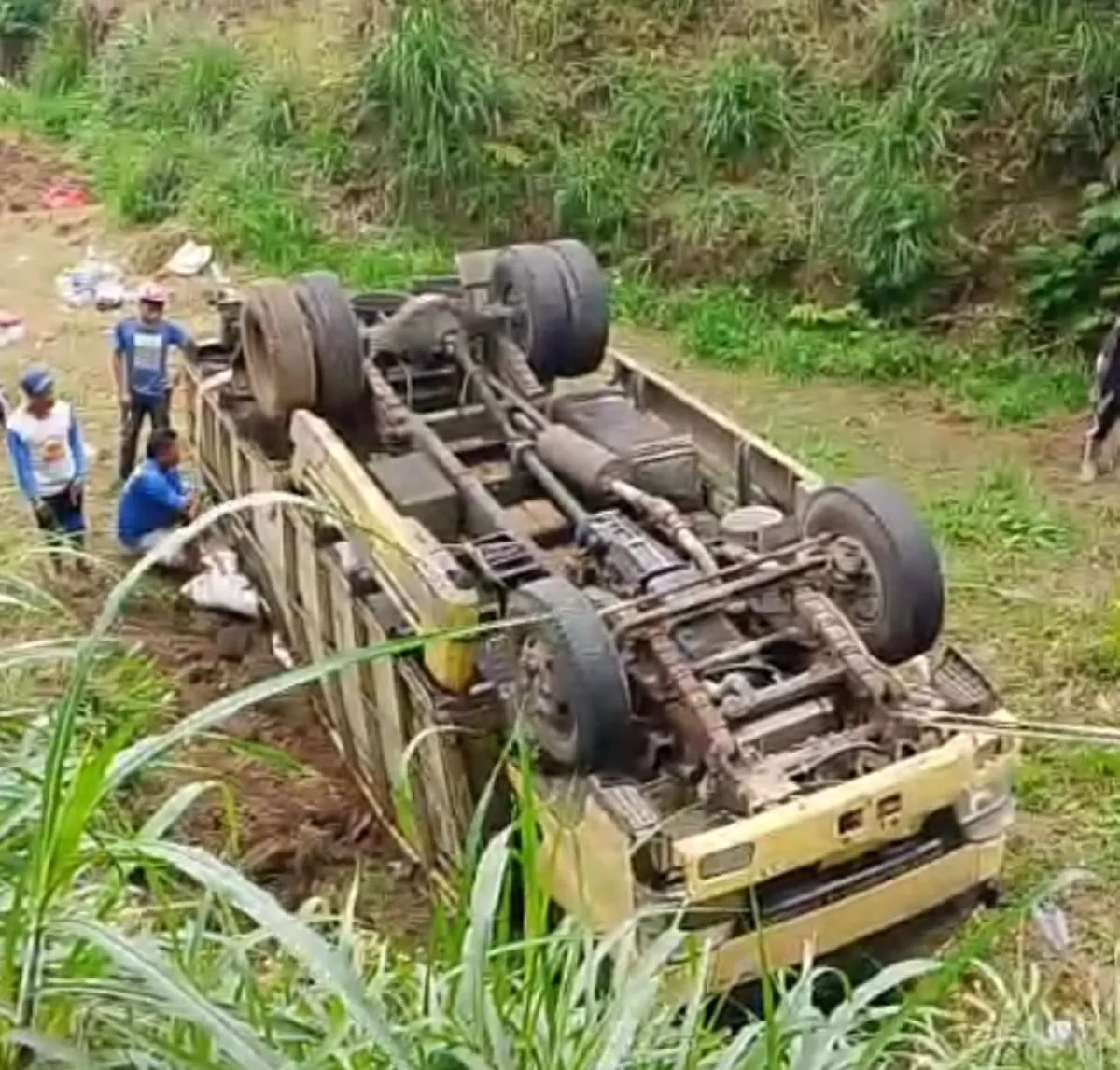 Diduga Overload, Truk Muatan Pupuk Kandang Terjung ke Jurang