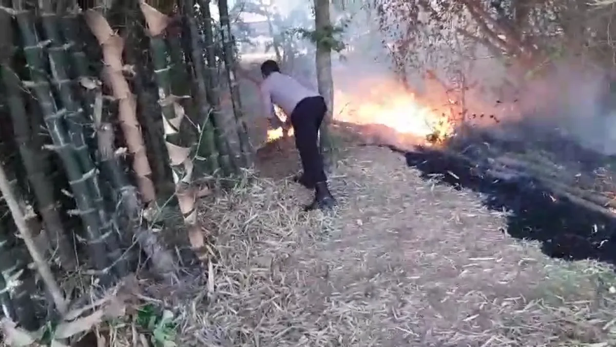 Rumpun Bambu Kering di Belakang TK Darma Wanita Sukorejo Terbakar, Api Berhasil Dipadamkan