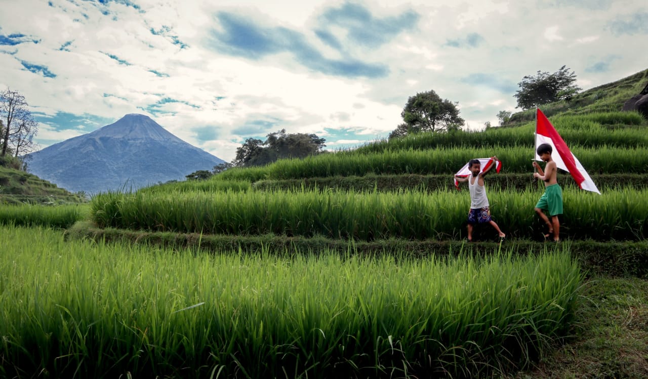 Terasiring salah satu pesona wisata Desa Selotapak Trawas 