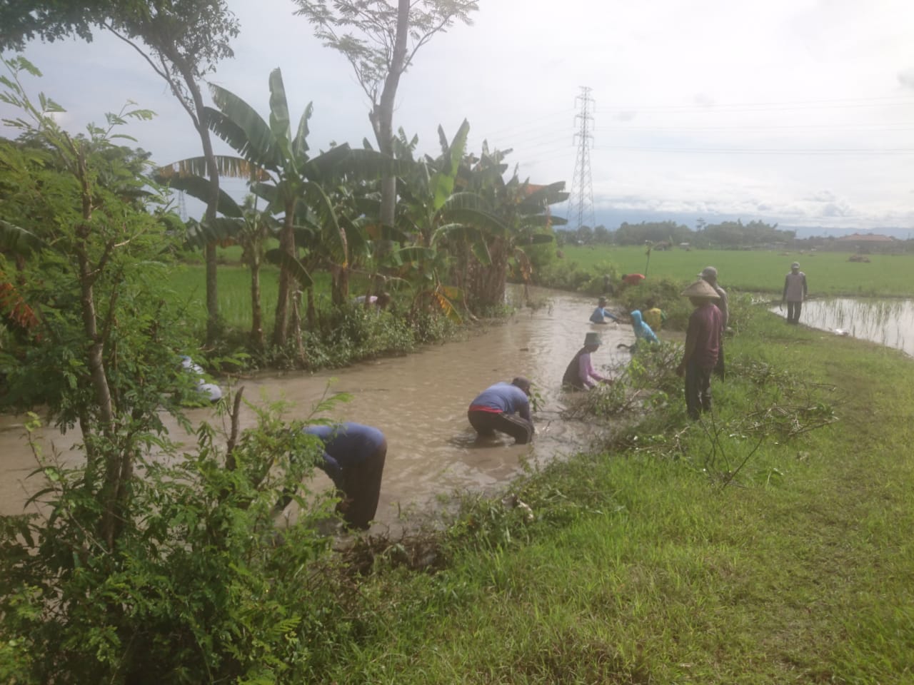 Warga Desa Ngampel saat bersih-bersih sungai