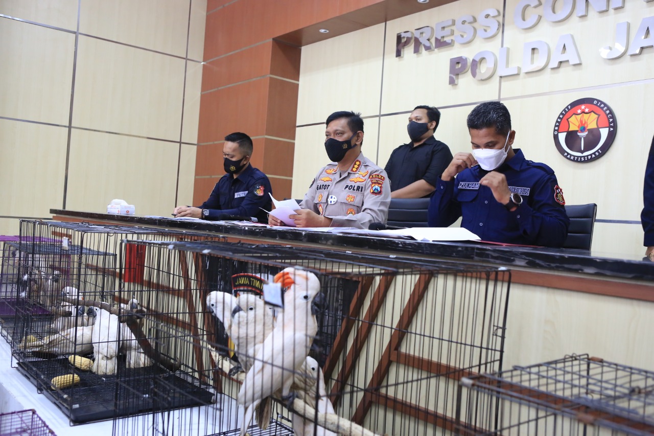 Ditreskrimsus Polda Jatim, Bongkar Perdagangan Satwa Dilindungi Di  FB