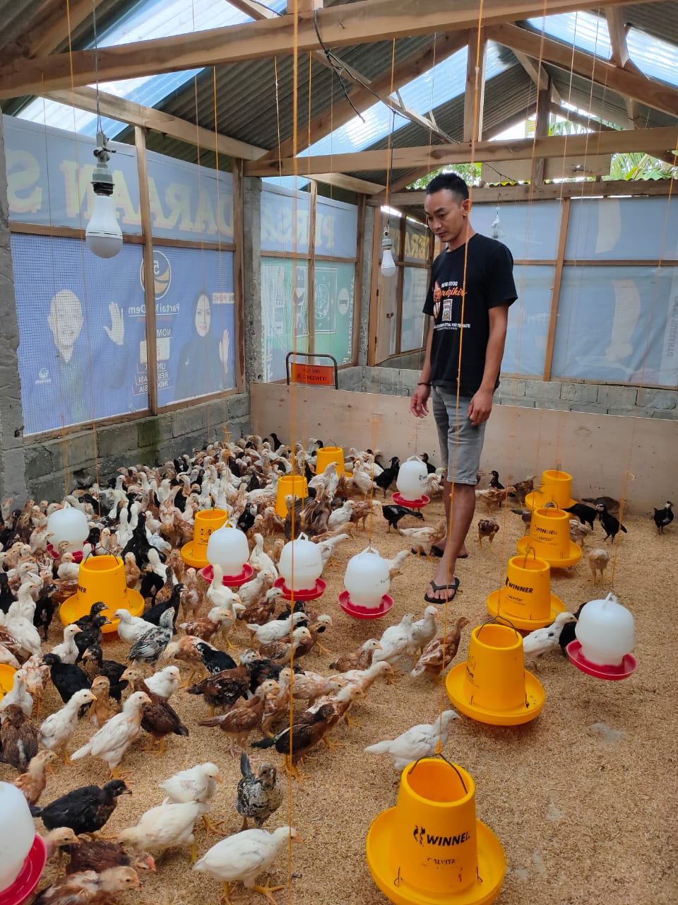 Kegiatan KTH Wonorejo Jaya dalam budidaya ayam joper ( Foto : aw)