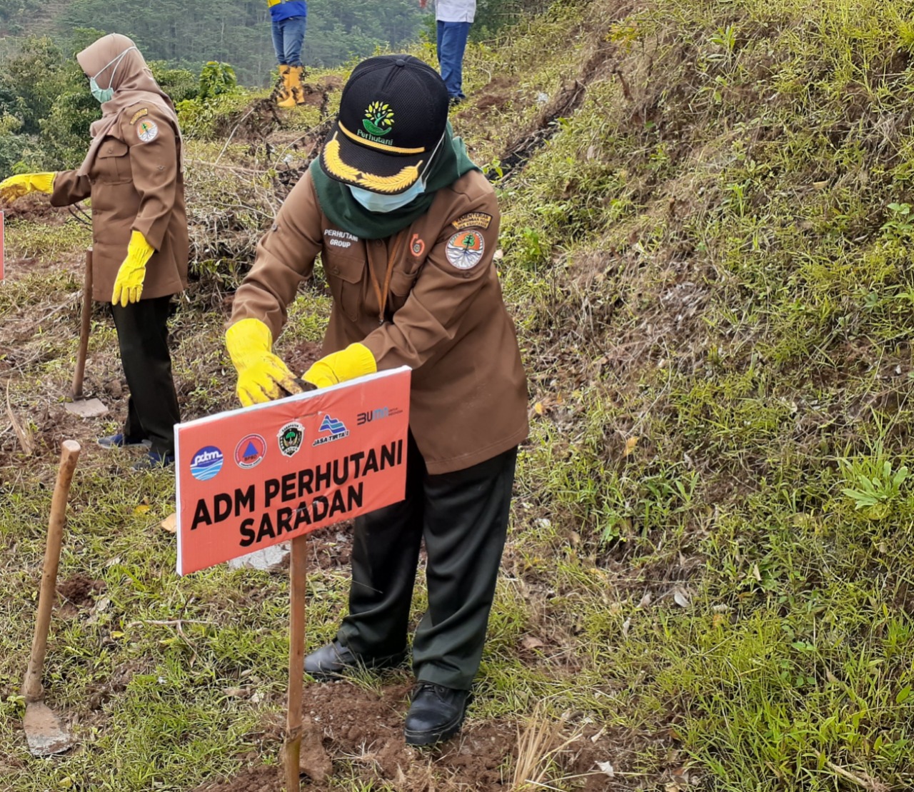 ADM PERUM PERHUTANI KPH SARADAN