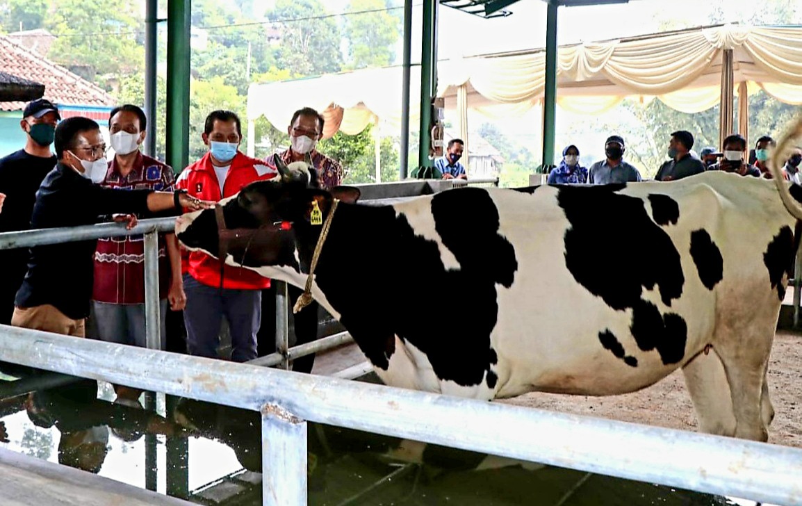 Kandang Komunal Bantuan Dinas Pertanian Kota Batu