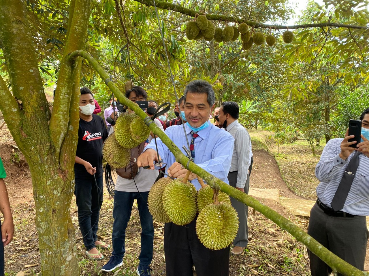 Rektor UNIDA Gontor Prof.Dr.K.H. Hamid Fahmy Zarkasy, M.A.Ed, M.Phil saat di kebun durian