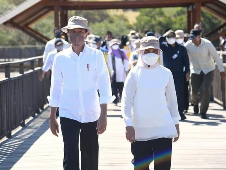 Presiden Jokowi bersama ibu negara 