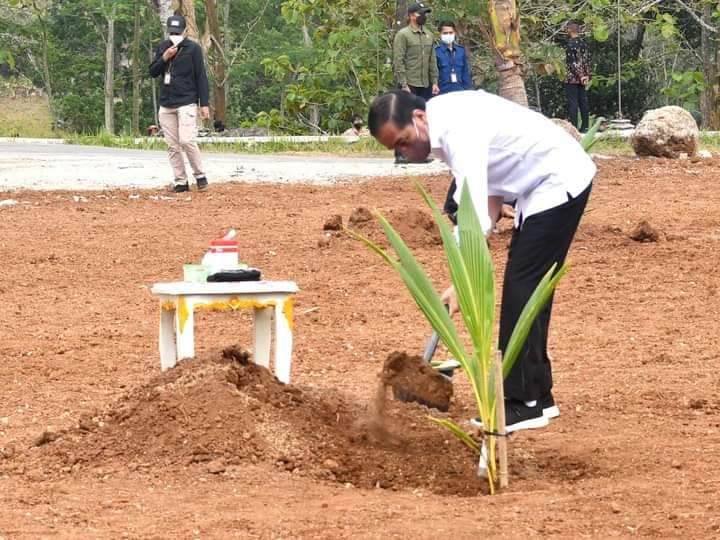 Presiden Jokowi Saat Tanam Kelapa Genjah