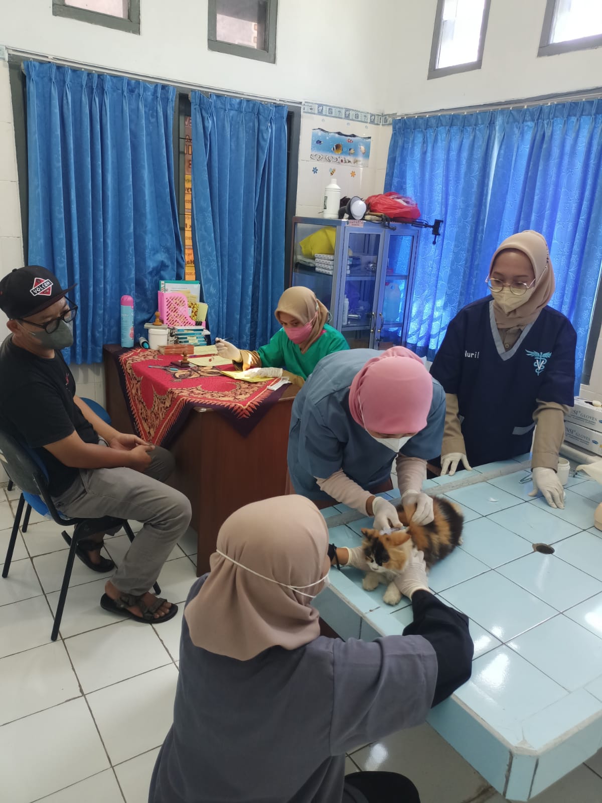 Prosesi Vaksin Gratis Bagi Hewan