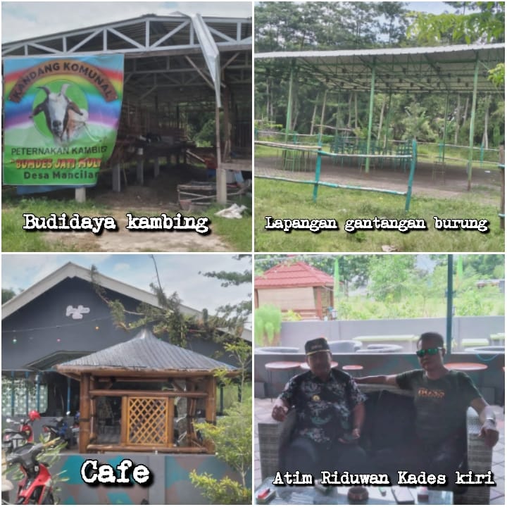 Produk Unggulan BUMDes Mancilan