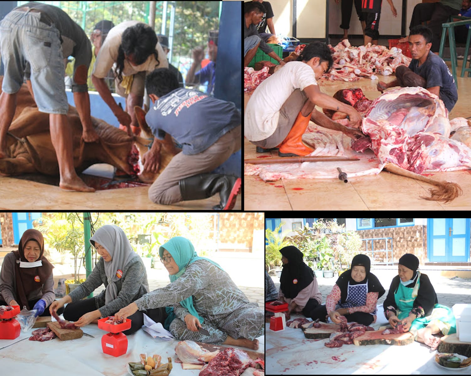 Idul Adha Darul Arqam Sembelih 9 Ekor Sapi 1 Ekor Kambing