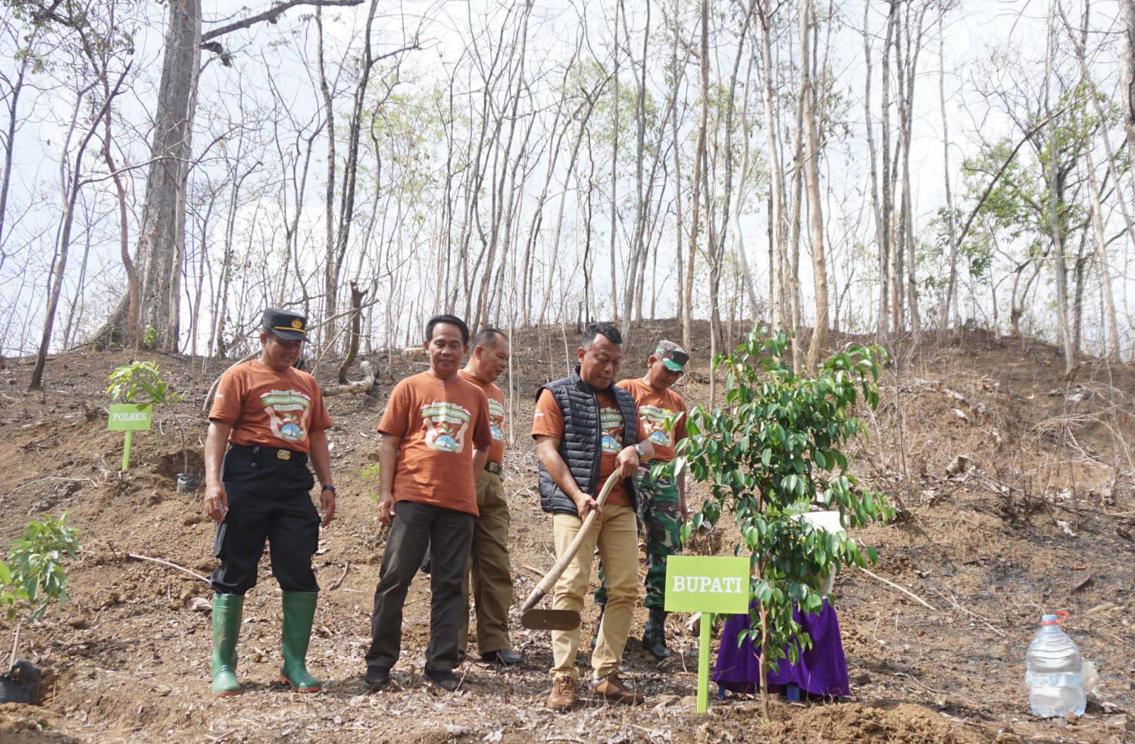 Hari Menanam Indonesia Kang Giri Nanam Pohon di Gunung Thekil
