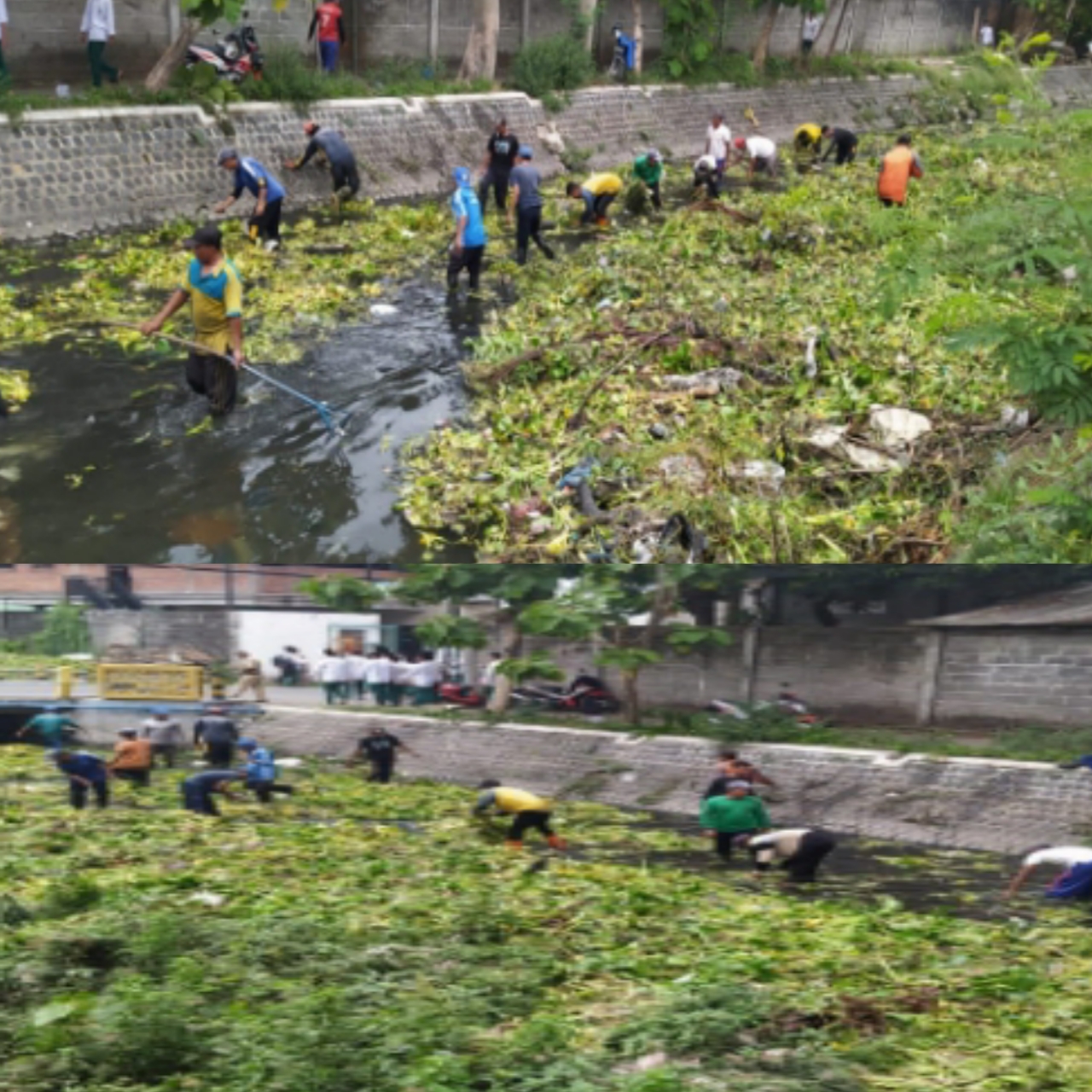 Mitigasi Bencana Musim Hujan Dinas PUPR Jombang Gerak Cepat