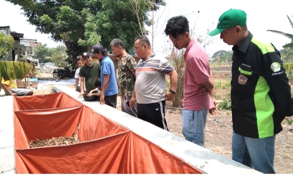Pelatihan budidaya belut sawah di Desa Cagak Agung